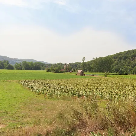 Holiday home Historic Mansion By The River Lot In C Nevi Res *